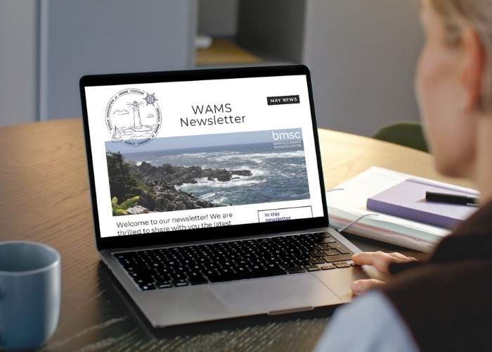 WAMS Newsletter