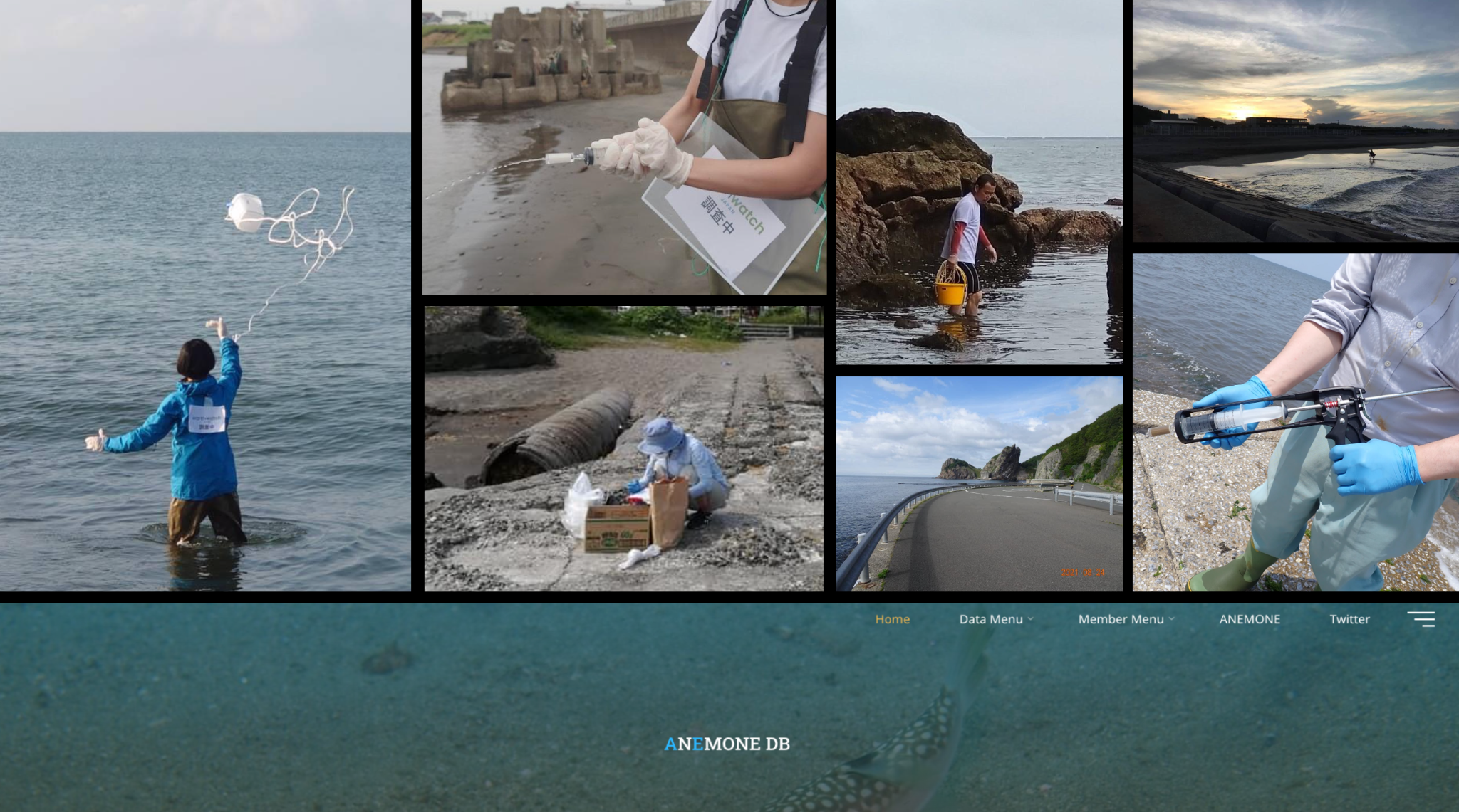 Demonstrative photos of the ANEMONE Network.