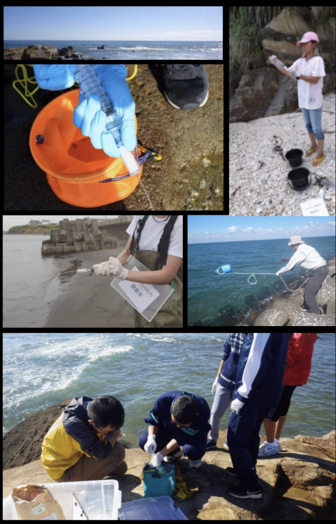 ANEMONE Global: Advancing eDNA-Based Biodiversity Monitoring through International Collaboration 2 image003 4