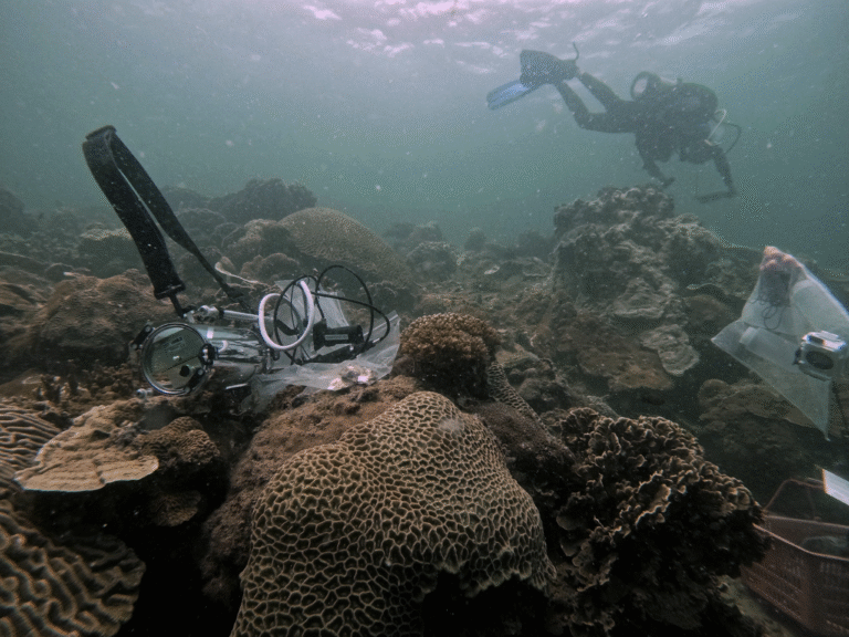 Discover Singapore's St John's Island National Marine Laboratory 5 image008