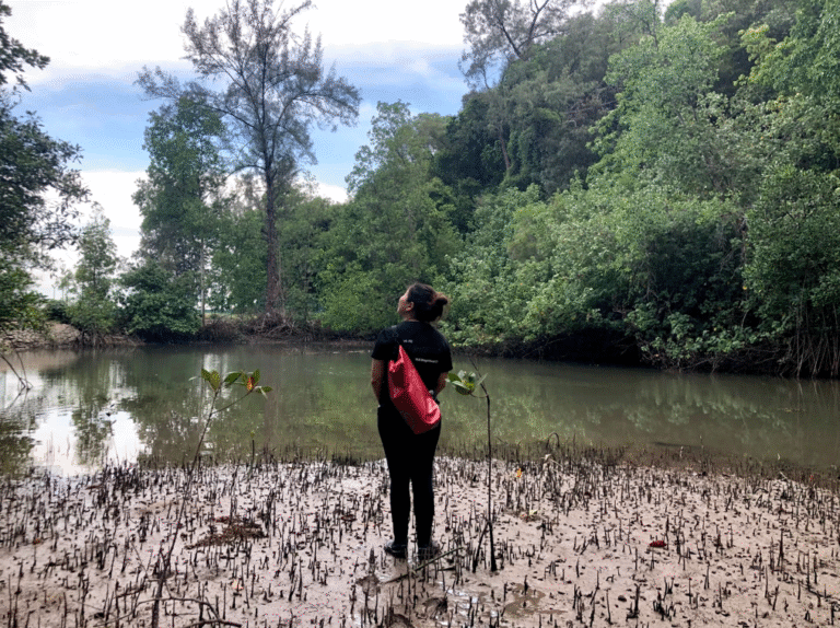 Discover Singapore's St John's Island National Marine Laboratory 4 image011