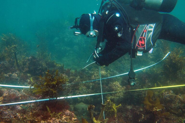 banner6 e1761270559566