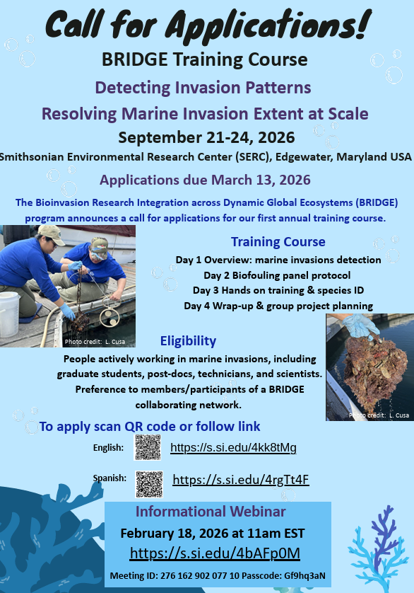 Bridge Training Course