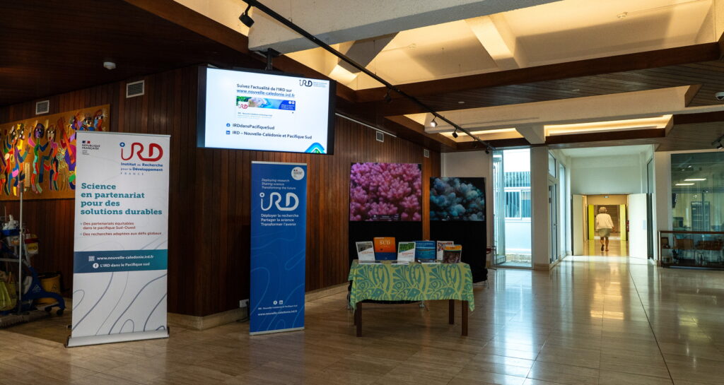 IRD 094447 MD© IRD Jean Michel Bore