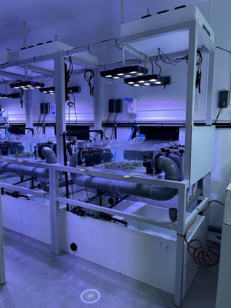 Visite ReefLab © IRD Francois Tavernier 3