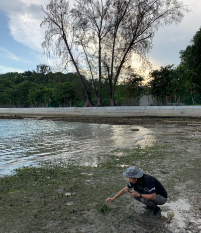 Discover Singapore's St John's Island National Marine Laboratory 2 image009 4